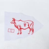 ราคา ธงหมู่ลูกเสือ – ลายสัตว์สวยงามตามระเบียบ คุณภาพดี มาตรฐานลูกเสือไทย (29929415833)