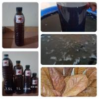 ราคา น้ำหมักใบหูกวาง (600 มิลลิลิตร) สูตรเข้มข้น ผสมเกลือสมุทร สำหรับปลาสวยงาม ปลากัด (27823409090)