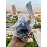 ราคา t9g Rangeas Rex Jr. “Black/Gold Ver” พร้อมส่งด่วน (28850691475)