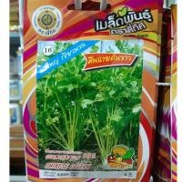 ราคา เมล็ดคึ่นฉ่าย 10 แถม 1 คละได้ คื่นฉ่าย คึ่นฉ่ายต้นขาว เมล็ดผัก เมล็ดพันธุ์ ขึ้นฉ่าย (4213489178)