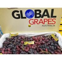 ราคา องุ่นไร้เมล็ดแดงจากประเทศออสเตรเลีย หวานกรอบแน่นอนครับ รับประกันความสดใหม่ (20877916891)