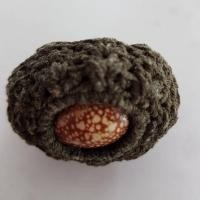 ราคา เบี้ยแก้สารพัดกัน-สารพัดแก้ หลวงพ่อสาย วัดนามวิจิตร์ตะเคียนราม จ.ศรีสะเกษ แท้ 100% จากวัด (19264688616)