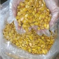 ราคา [ ขนาด 500 / 1000 กรัม ] ถั่วแปหล่อ หรือ ปะหล่อ สดใหม่ พร้อมส่ง (29706594914)