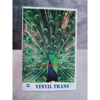 ราคา สติ๊กเกอร์พิมพ์และพิมพ์ Vynl A3+ (44374534951)