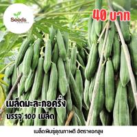 ราคา เมล็ดมะละกอครั่ง บรรจุ 100 เมล็ด (48401024075)