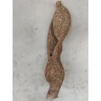 ราคา รังนกคู่รังนกแฝดบรรจุ1รัง (46251972929)