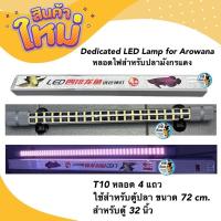 ราคา Dedicated LED Lamp for Arowana หลอดไฟสำหรับปลามังกรแดง T10 หลอด 4 แถวใช้สำหรับตู้ปลา ขนาด 72 cm. สำหรับตู้ 32 นิ้ว (20439147198)