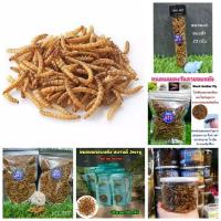 ราคา หนอนนกอบแห้ง Dried Weal Worms หนอนนกอบแห้งสำหรับสัตว์เลี้ยง หนอนนก (7939736042)