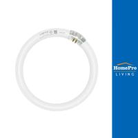 ราคา LAMPTAN หลอดนีออนกลม 32 วัตต์ DAYLIGHT G10Q (18694291594)