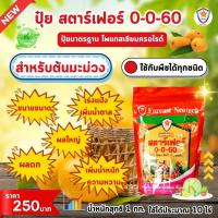 ราคา มะม่วง ผลใหญ่ ผลดก ขยายขนาด เพิ่มน้ำหนัก เพิ่มคุณภาพ ผลผลิต ด้วย ปุ๋ยโพแทสเซี่ยมคลอไรด์ สตาร์เฟอร์ 0-0-60 (25324638051)