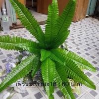 ราคา ใบเฟิร์นมะขาม ×18 ดอกไม้ประดิษฐ์ (6226167166)