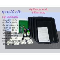 ราคา ชุดทดลองปลูกผักไฮโดรโปนิกส์ ชุดคอมโบ้ ผักสลัด (7279393816)