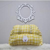ราคา Moshibag คาร์ซีท สุนัขและสัตว์ สีกล่องเหลือง ขนาด 50x40 คาร์ซีทสุนัข (9755739592)