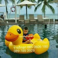 ราคา Intex แพรเป่าลม แพรยาง เป็ดยักษ์ (580638547)