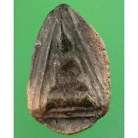 ราคา 3550 พระนางพญาฐานตาราง ฐานขีด กรุดอนลาน สุโขทัย พระตรงรูป (42114905749)