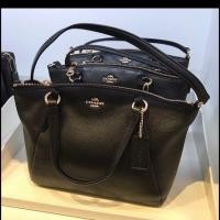 ราคา Coach พัด mini หนังนิ่ม สีดำล้วน (622109491)