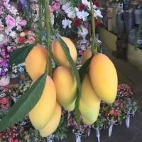 ราคา มะม่วงปลอม งานคุณภาพดี (216204280)