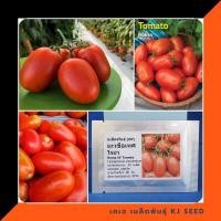 ราคา เมล็ดพันธุ์ มะเขือเทศ โรม่า (Roma VF Tomato Seed) บรรจุ 40 เมล็ด คุณภาพดี ราคาถูก ของแท้ 100% (8274508867)