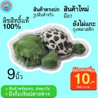 ราคา ตุ๊กตาเต่าแซมมี เต่าน้อย Sammy Turtle 9 นิ้ว ตุ๊กตาแซมมี่ เต่าแซมมี่ ตัวเล็ก ตุ๊กตาเต่า น่ารัก เต่าแซมมีของแท้ พร้อมส่ง (12383812393)
