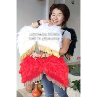 ราคา 1 อัน ขอบเงิน ปีกขนนก ทรงตัวเอ็ม M ปีกนางฟ้า ปีกเทวดา ปีกนางฟ้าขนนก ปีกแฟนซี แฟนซี ฮาโลวีน pink angle wing halloween 24 (23945643274)