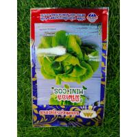 ราคา ผักสลัดมินิคอส200เมล็ดตราภูเขาทอง (23434143941)