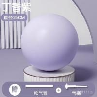 ราคา ลูกบอลออกกำลังกายโยคะ ขนาดเล็ก ทนทาน พิลาทิสและสมดุล 492 (51650670009)