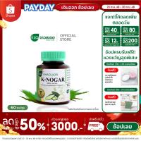 ราคา Khaolaor ขาวละออ เค-โนก้า (ผลิตภัณฑ์เสริมอาหารมะระขี้นก) 60 แคปซูล/กล่อง (19865827970)
