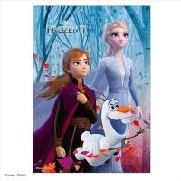ราคา Tenyo Made In Japan 300 ชิ้น จิ๊กซอว์ Disney Anna And The Snow Queen 2: ซ่อนความลับ 30.5X43Cm D-300-016 กาว... (44364959338)