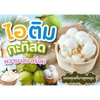ราคา ป้ายไอติมกะทิสด ป้ายบอร์ด ป้ายเคลือบแข็ง พลาสวูด ไวนิล (24921238629)