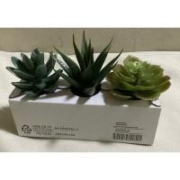 ราคา IKEAแท้ FEJKA เฟคก้า FEJKA เฟคก้า ไม้ประดิษฐ์ในกระถาง+กระถาง, ใน/นอกอาคาร ต้น Succulent, 6 ซม. 3 ชิ้น (24806078771)