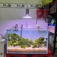 ราคา XINDAA 20W ไฟสปอร์ตไลท์ LED สีขาวสว่าง WRGB (24479601546)