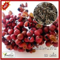 ราคา 50 เมล็ด มะแขว่น เมล็ดมะแขว่น กำจัด กำจัดต้น หมากแคน ลูกระมาศ หมากมาด (25174555317)