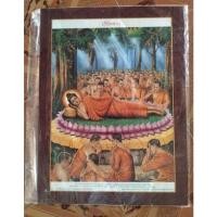 ราคา กรอบรูปวิทยาศาสตร์เคลือบเรซิ่นเงา ภาพพระพุทธเจ้า (17591617050)