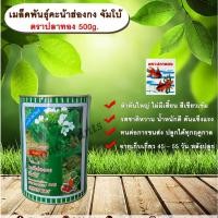 ราคา เมล็ดพันธุ์คะน้าฮ่องกงจัมโบ้ 500g. ตราปลาทองเมล็ดพันธุ์ควบคุมallaboutplants (5406411050)