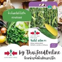ราคา GGEW หมดอายุ 3/69 เมล็ดพันธุ์ ข้าวโพดหวานจัมโบ้สวีท 70 เมล็ด ตราศรแดง Corn (4905574160)