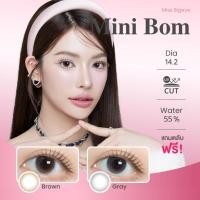 ราคา มินิ | Kitty Kawaii - Mini Bom (Brown/Gray) คอนแทคเลนส์ ค่าอมน้ำ 55% (27421087016)