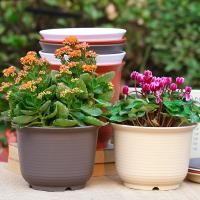 ราคา กระถางต้นไม้พลาสติก ตกแต่งบ้าน สไตล์มินิมอล กระถางลายเส้น ทรงกลม โมเดิร์น (26583372977)