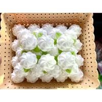 ราคา เหรียญโปรยทานดอกมะลิตัวป่าว (14750604377)