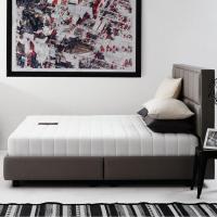 ราคา SB Design Square ที่นอน Dunlopillo รุ่น Athena ขนาด 3.5 ฟุต แถมฟรี หมอนหนุน 1 ใบ (26055938222)