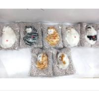 ราคา ตุ๊กตาดับกลิ่น ตุ๊กตาดูดกลิ่น ตุ๊กตาหน้ารถ แมวดูดกลิ่นรถ แมวดับกลิ่นรถ ตุ๊กตาแมวดับกลิ่น ตุ๊กตาดับกลิ่นในรถยนต์ (25320596886)