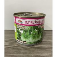 ราคา มะเขือเปราะลูกผสม น้ำหยดราชบุรี #29 ขนาด 20 กรัม (25043465389)