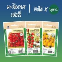 ราคา เมล็ดผัก เมล็ดมะเขือเทศเชอร์รี่ เมล็ดมะเขือเทศ มะเขือเทศเชอร์รี่ มะเขือเทศ l เจียไต๋ เมล็ดพันธุ์ผัก ปลูกผัก (6754637549)