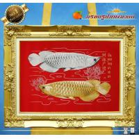 ราคา ปลามังกรเงิน-ทองผ้ากำมะหยี่ กรอบหลุยส์สีทอง ขนาดรูป 15x21นิ้ว ดอกหลุยส์ใหญ่ขนาดกรอบพร้อมรูปภาพ 69cmx54cm (11245894908)