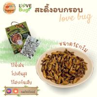 ราคา LOVEBUG สะดิ้งอบกรอบ ขนาด 16 กรัม ราคาส่ง 20 กล่องขึ้นไป แมลงไม่ทอด ไร้น้ำมัน กรอบอร่อย สะอาด แมลงอบกรอบ (10103580072)