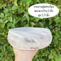 ราคา กระถางปูน กระถางแคคตัส กระถางปูนเปลือย (3679072231)