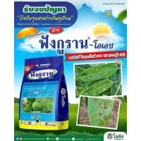 ราคา ฟังกูราน โอเอสขนาด 1 กิโลกรัม (29264155917)