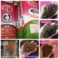 ราคา (แบ่งขาย 1 กิโล) อาหารปลา CP อาหารปลาดุก ปลารวม ปลากินพืช อาหารปลารวม อาหารปลากินพืช (25733980362)