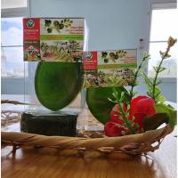 ราคา สบู่สมุนไพร สวนใส่ใจออร์แกนิค แก้ปัญหากลิ่นตัว ลดผดผื่นคัน (23579753395)