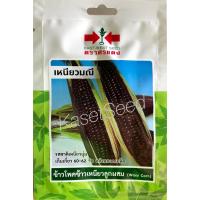 ราคา เมล็ดพันธุ์ ข้าวโพด ข้าวโพดข้าวเหนียว เหนียวมณี ศรแดง ผักซอง (2001239878)