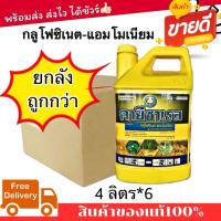 ราคา คายีซาเรส กลูโฟซิเนต-แอมโมเนียม 15% SL ขนาด 4 ลิตร สารกำจัดวัชพืช ยาฆ่าหญ้าทั่วไป ไร่ข้าวโพด มันสำปะหลัง ปาล์ม (42672547290)